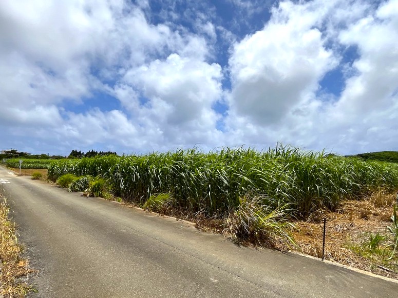【分筆相談可能】上野新里　Aコープうえの店近くの角地　約689坪　畑