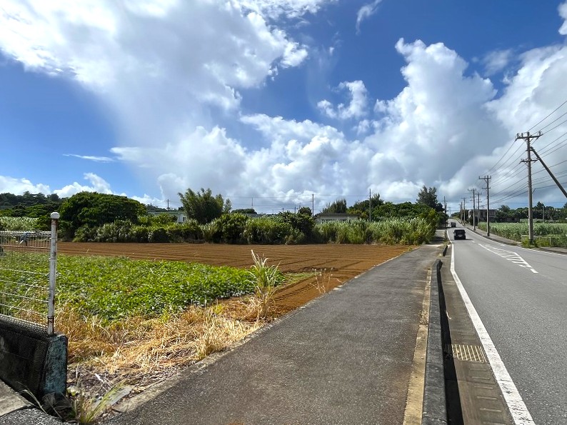 平良西仲宗根　添道の大通り沿いの大きな土地　約1,071坪　畑