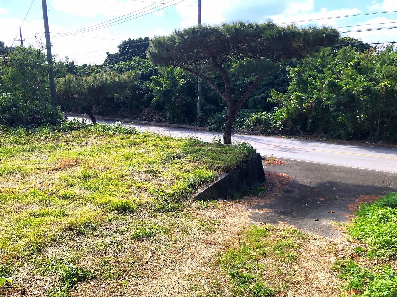大浦でスローライフを夢見て　147坪　農用地・原野