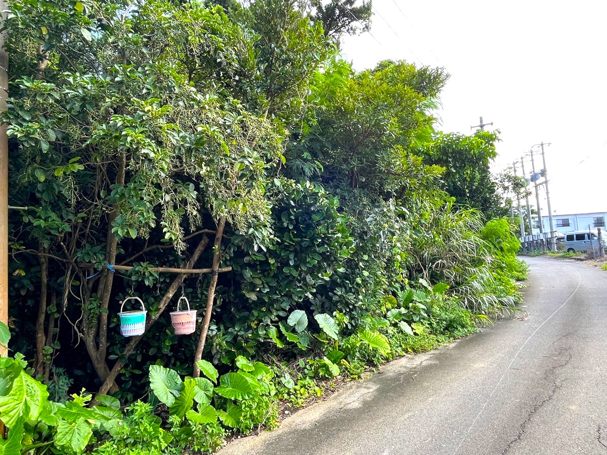 平良西里野原越の城辺線から1本入ってすぐ　739坪　原野