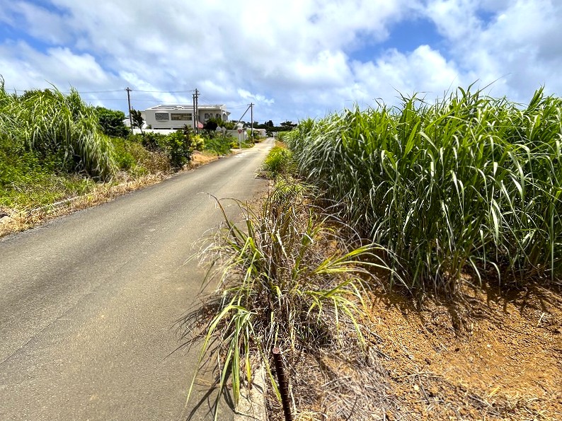 【分筆相談可能】上野新里　Aコープうえの店近くの角地　約689坪　畑
