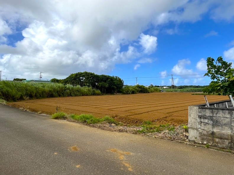 平良西仲宗根　添道の大通り沿いの大きな土地　約1,071坪　畑