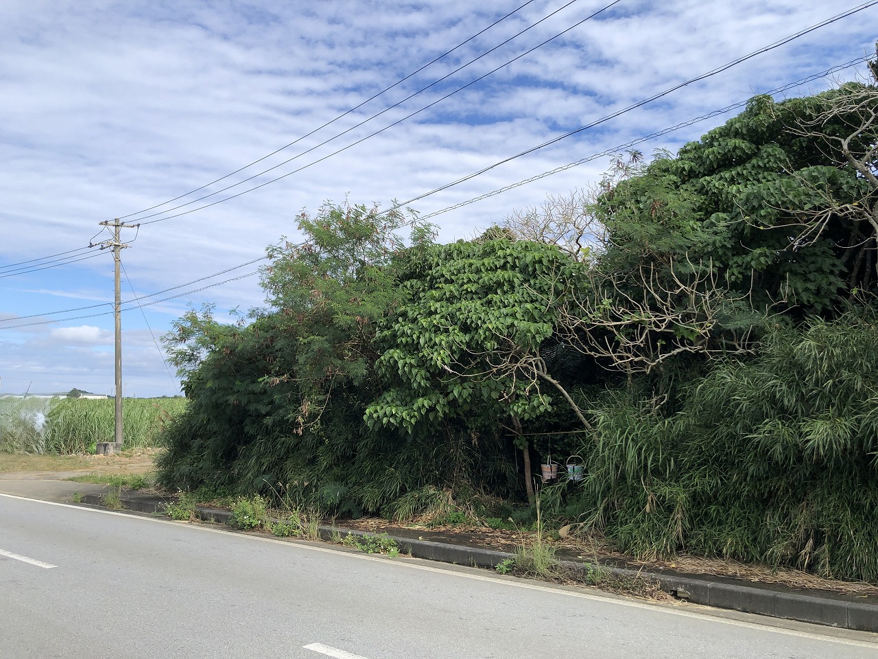 【価格改定】西仲宗根　添道の通りに面した　宅地