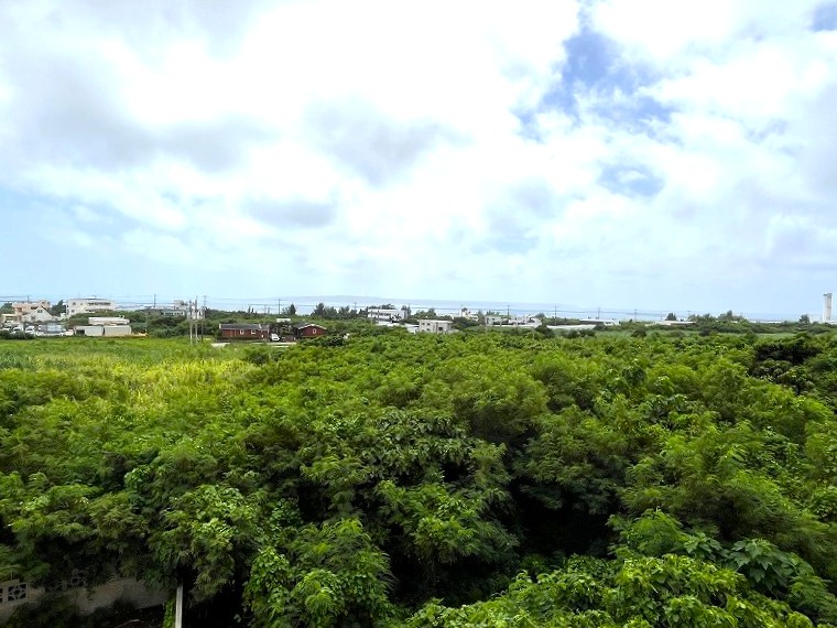 平良荷川取漁港へ続く通り沿い　約2,113坪　畑　