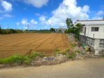 平良西仲宗根　添道の大通り沿いの大きな土地　約1,071坪　畑