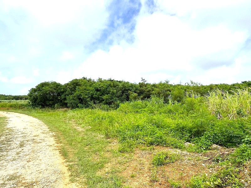 平良荷川取漁港へ続く通り沿い　約2,113坪　畑　