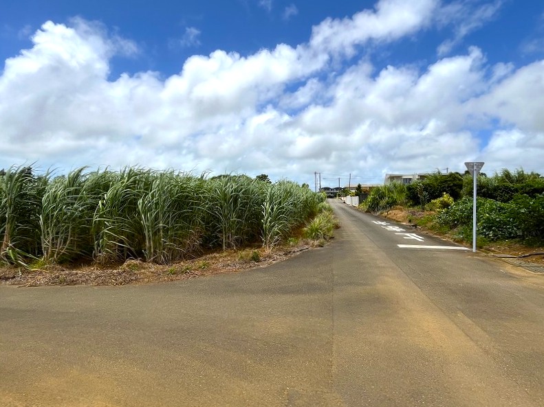 【分筆相談可能】上野新里　Aコープうえの店近くの角地　約689坪　畑