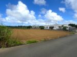 平良西仲宗根　添道の大通り沿いの大きな土地　約1,071坪　畑