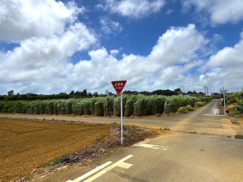 【分筆相談可能】上野新里　Aコープうえの店近くの角地　約689坪　畑