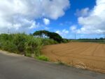平良西仲宗根　添道の大通り沿いの大きな土地　約1,071坪　畑