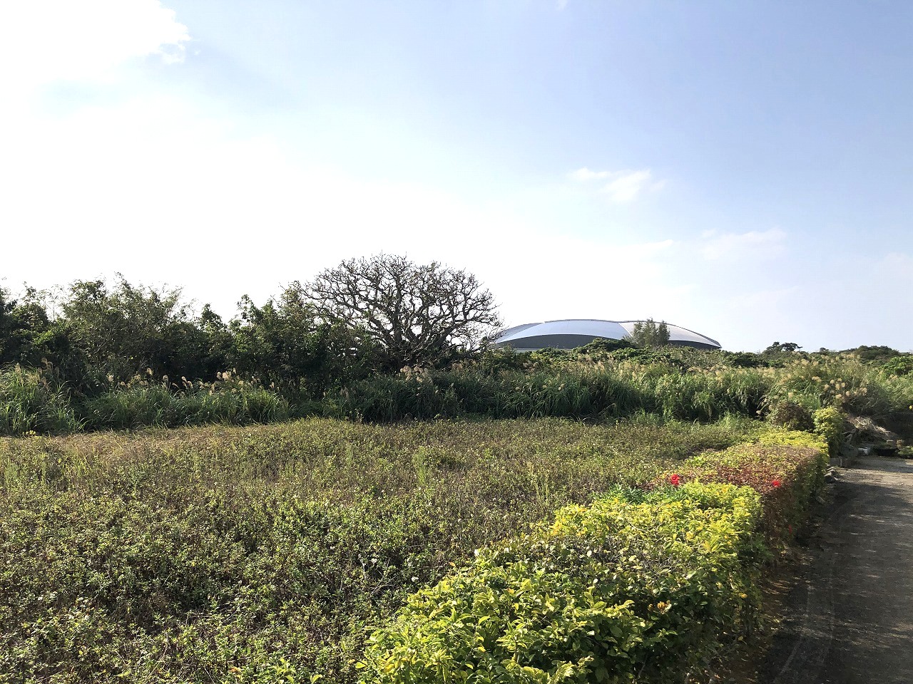 平良下里 JTAドーム南東側　2093坪　畑　農用地