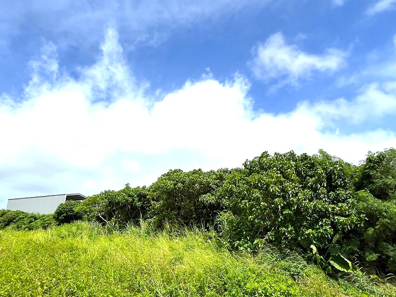 平良荷川取漁港へ続く通り沿い　約2,113坪　畑　