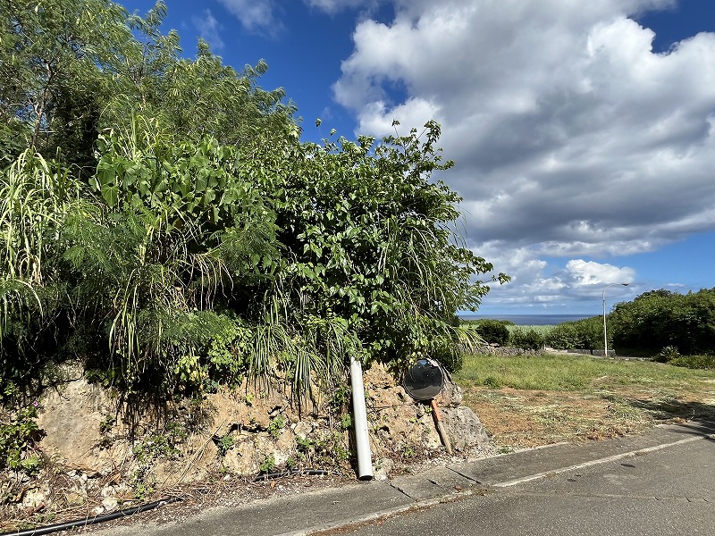 城辺友利 海と夕陽が見える高台　245坪　畑