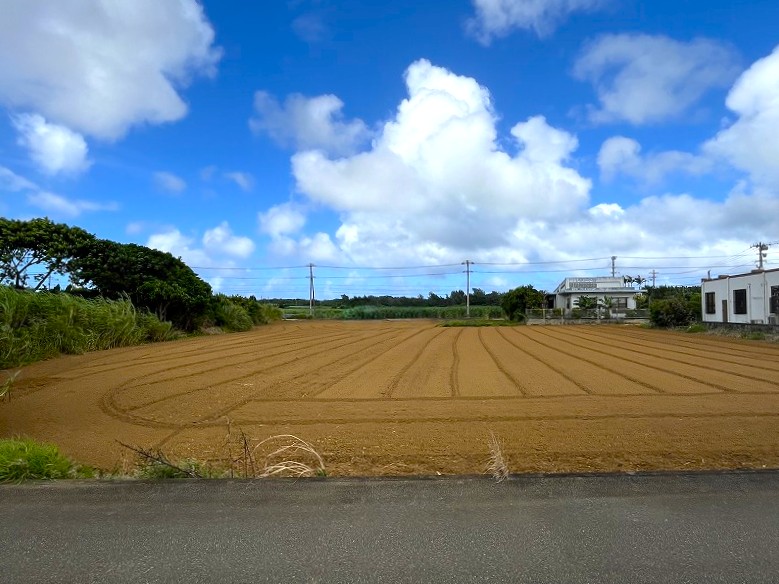 平良西仲宗根　添道の大通り沿いの大きな土地　約1,071坪　畑