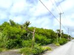 平良荷川取漁港へ続く通り沿い　約2,113坪　畑　