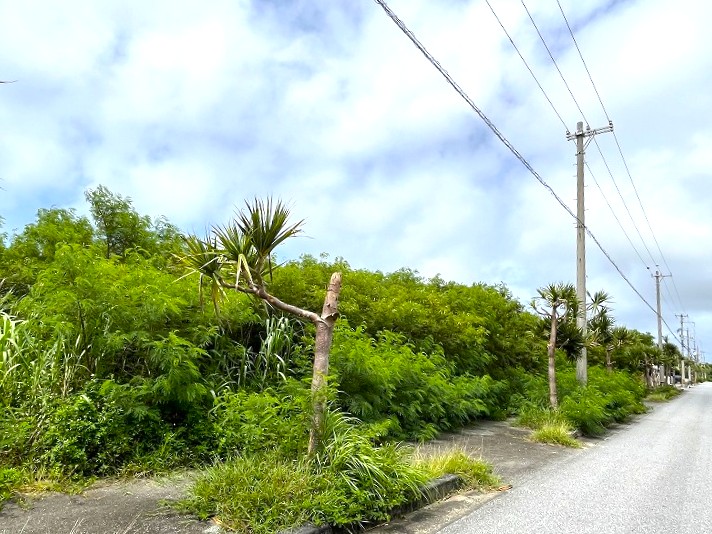 平良荷川取漁港へ続く通り沿い　約2,113坪　畑　