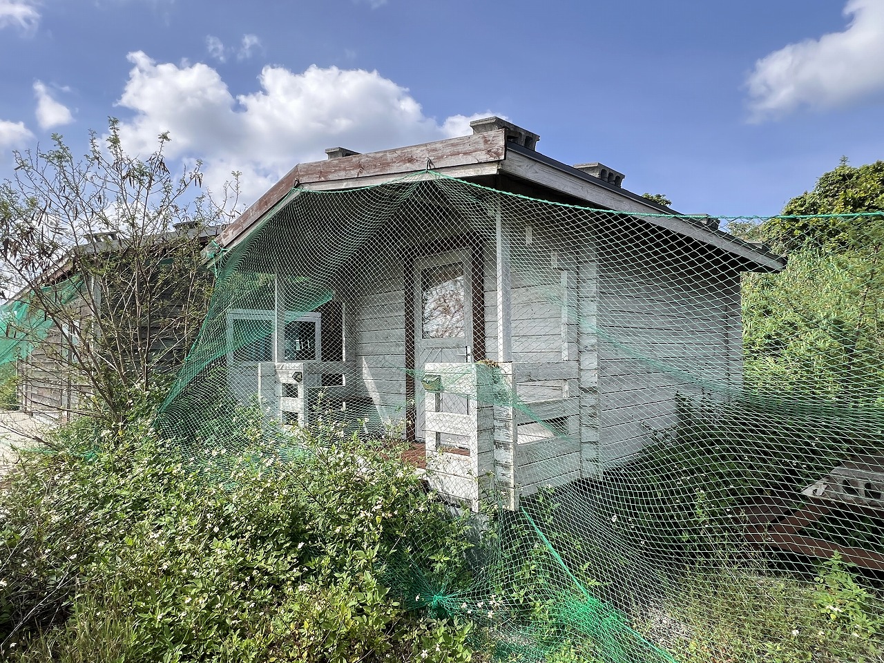 城辺長間 約1,000坪の土地と雄大な景色 木造 コテージ