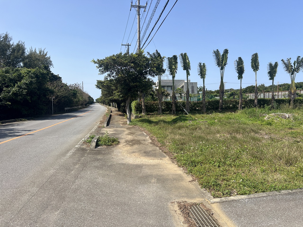 平良狩俣で畑を耕しながら暮らす　約442坪　畑