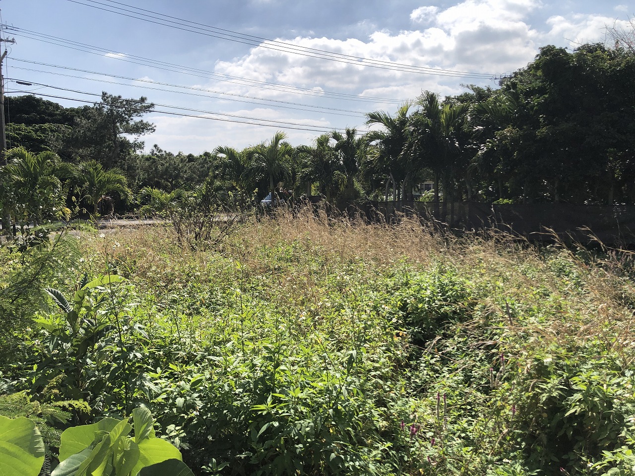 東仲宗根添・旧宮原小学校近くの静かな　約120坪　宅地