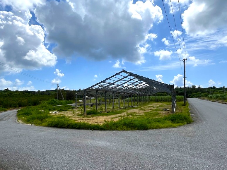 平良島尻　市道沿いの角地　約475坪　畑