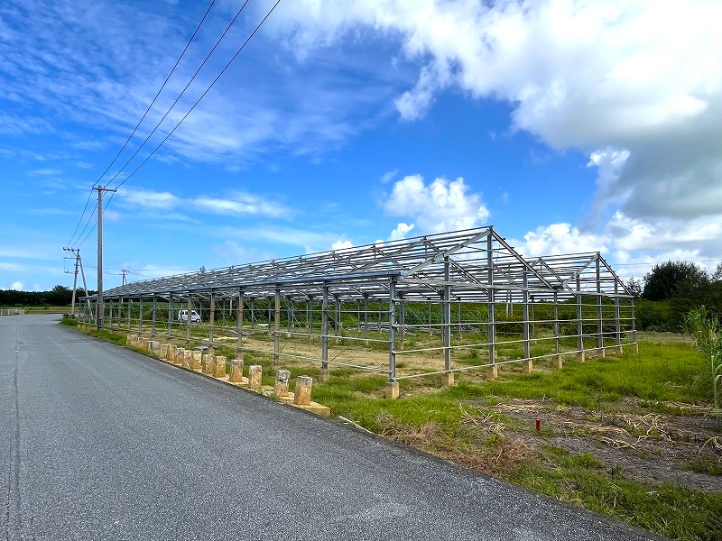 平良島尻　市道沿いの角地　約475坪　畑
