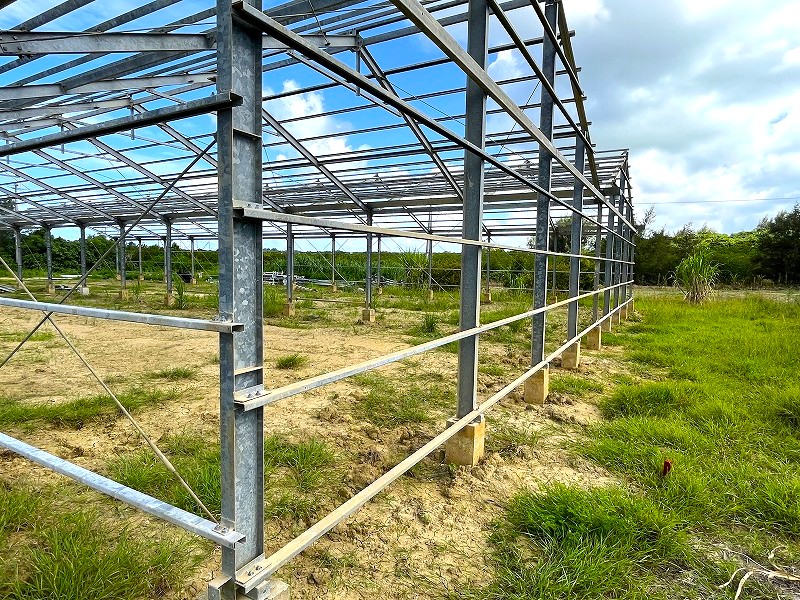 平良島尻　市道沿いの角地　約475坪　畑