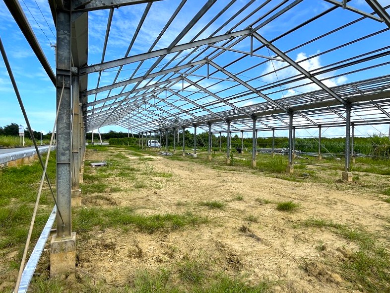 平良島尻　市道沿いの角地　約475坪　畑