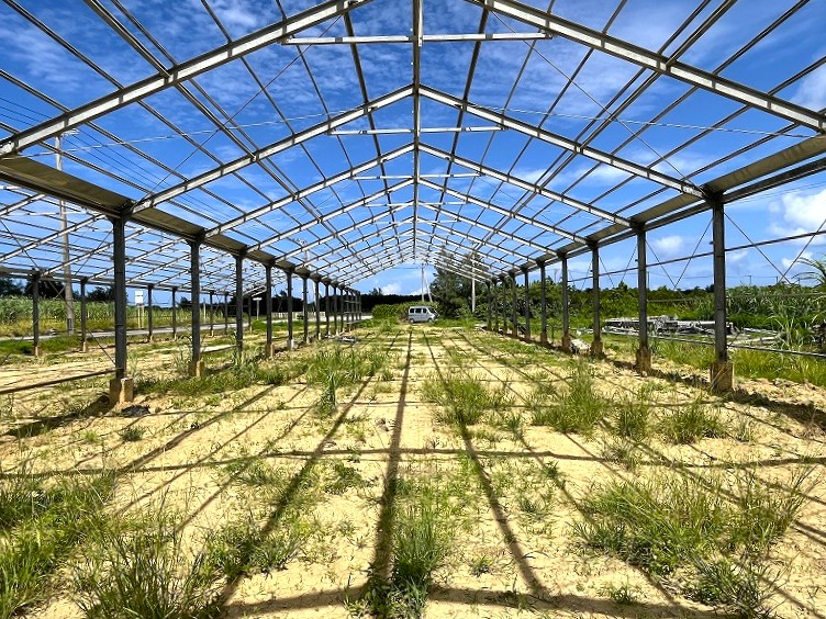 平良島尻　市道沿いの角地　約475坪　畑