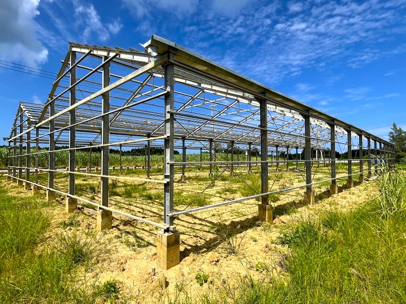 平良島尻　市道沿いの角地　約475坪　畑