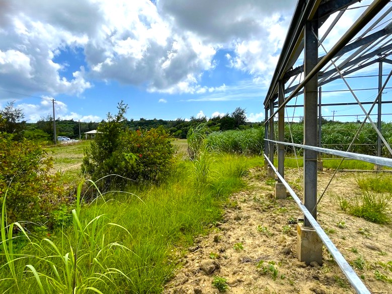 平良島尻　市道沿いの角地　約475坪　畑