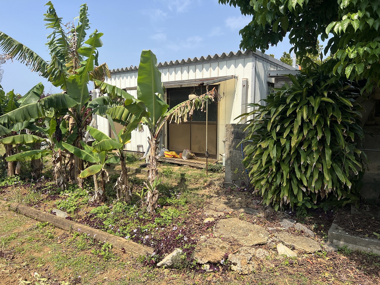 平良下里腰原ひっそりと暮らす　約217坪　原野