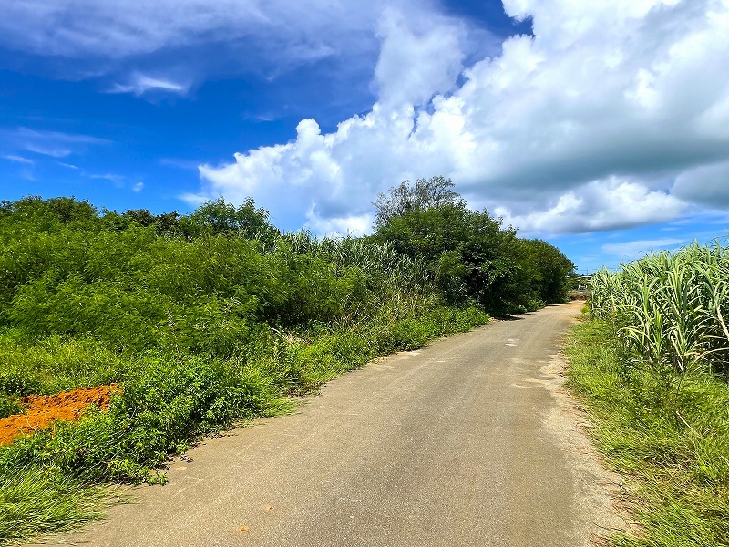 与那覇前浜ビーチ近く　約1,443坪　原野・山林