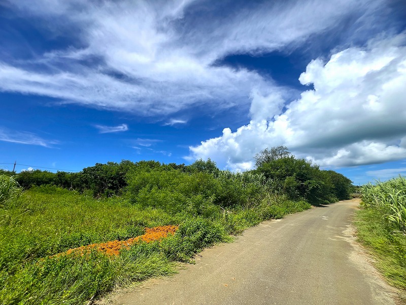 与那覇前浜ビーチ近く　約1,443坪　原野・山林