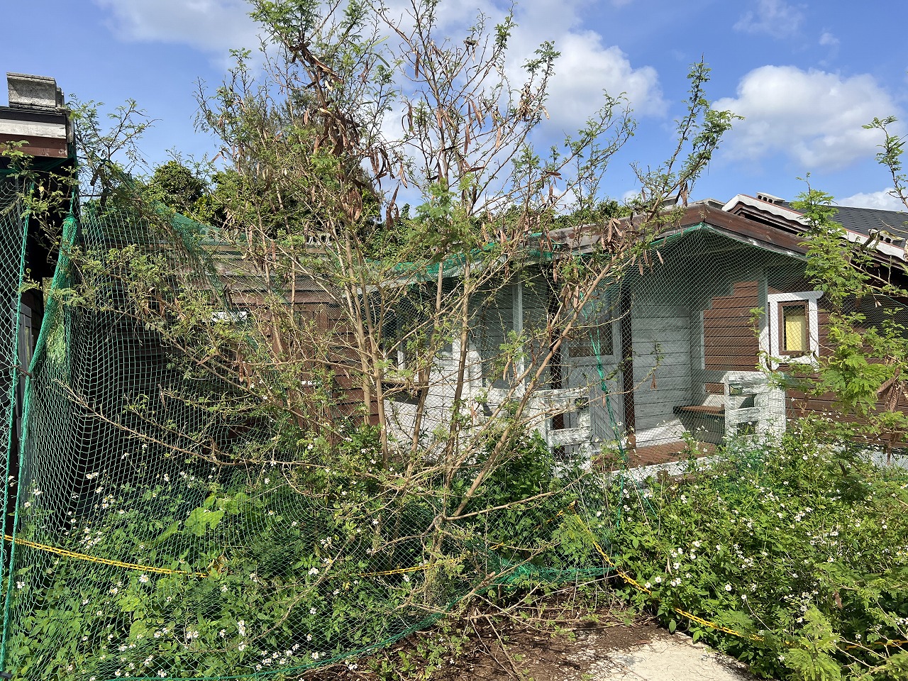 城辺長間 約1,000坪の土地と雄大な景色 木造 コテージ