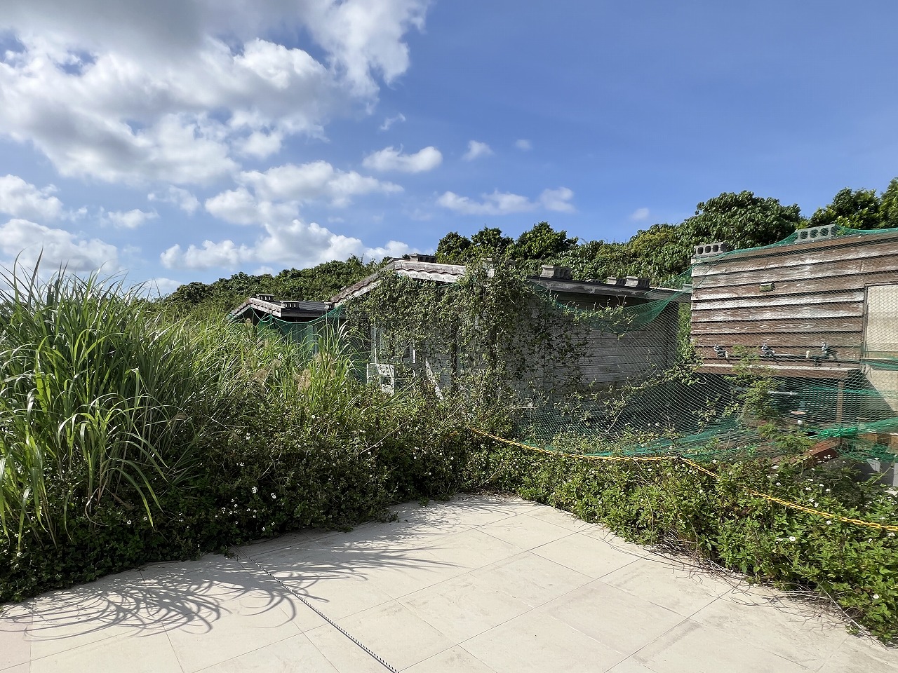 城辺長間 約1,000坪の土地と雄大な景色 木造 コテージ