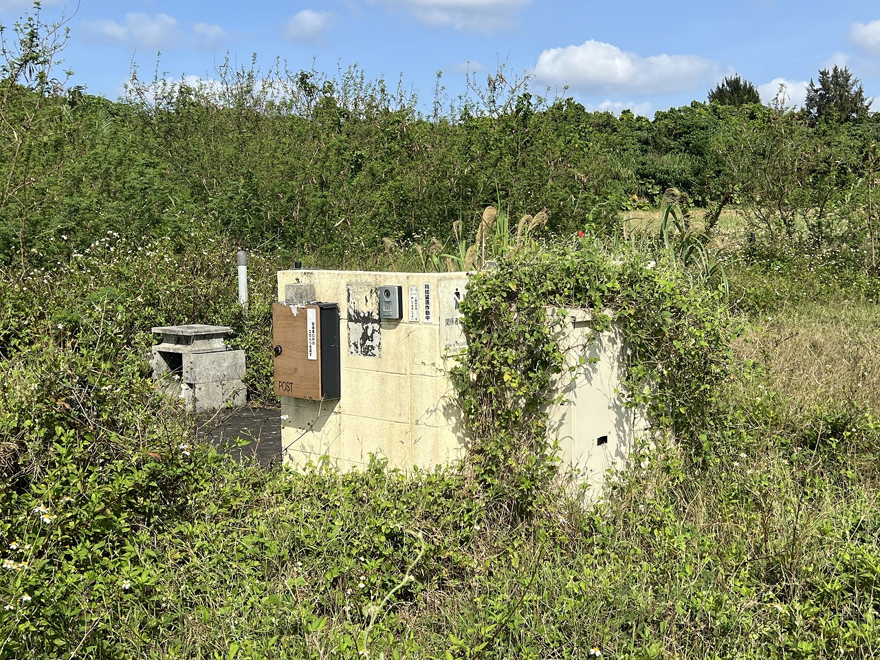 城辺長間 約1,000坪の土地と雄大な景色 木造 コテージ