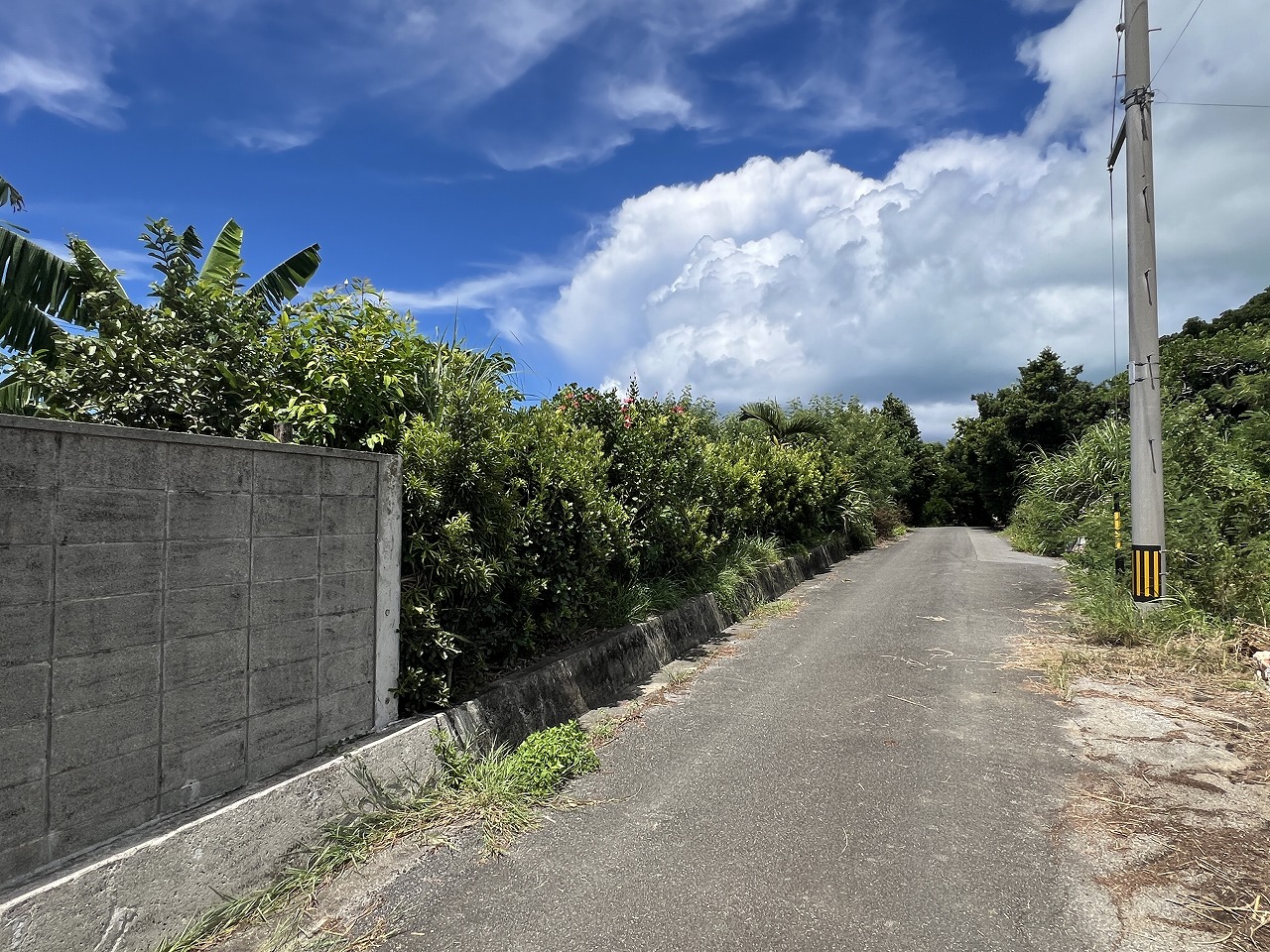 下地Ａコープ前　カフェ兼住居　建物約51坪　土地約326坪　宅地/畑