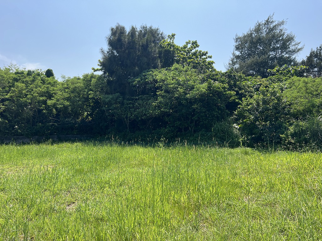 城辺福里 約1,611坪 原野・畑 古屋あり