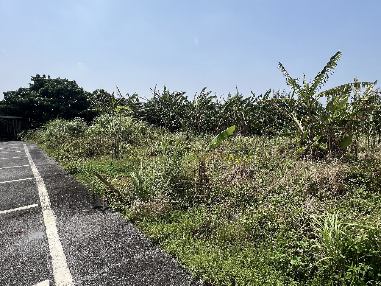 平良下里腰原アパート用地　約294坪　畑