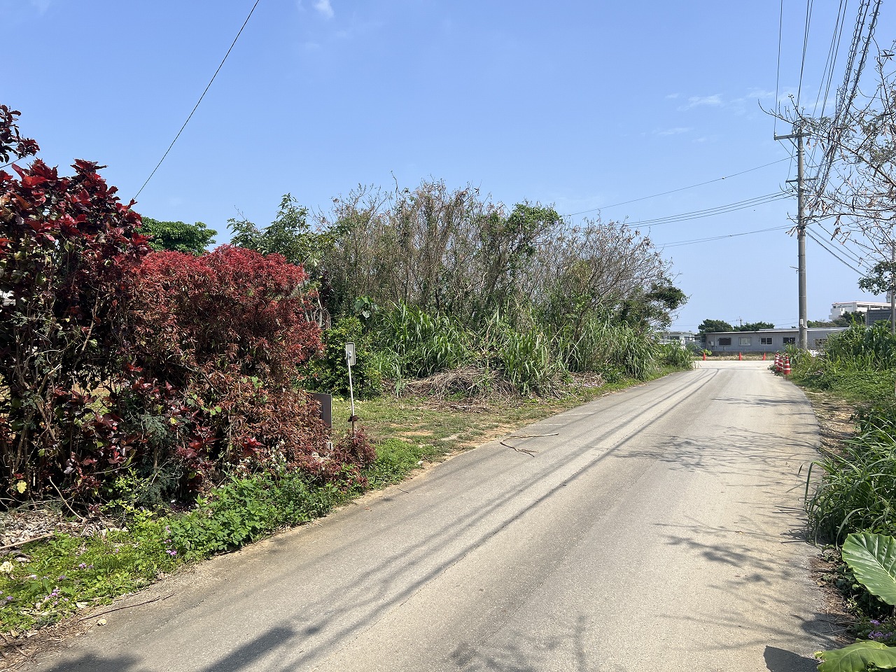 平良下里腰原ひっそりと暮らす　約217坪　原野