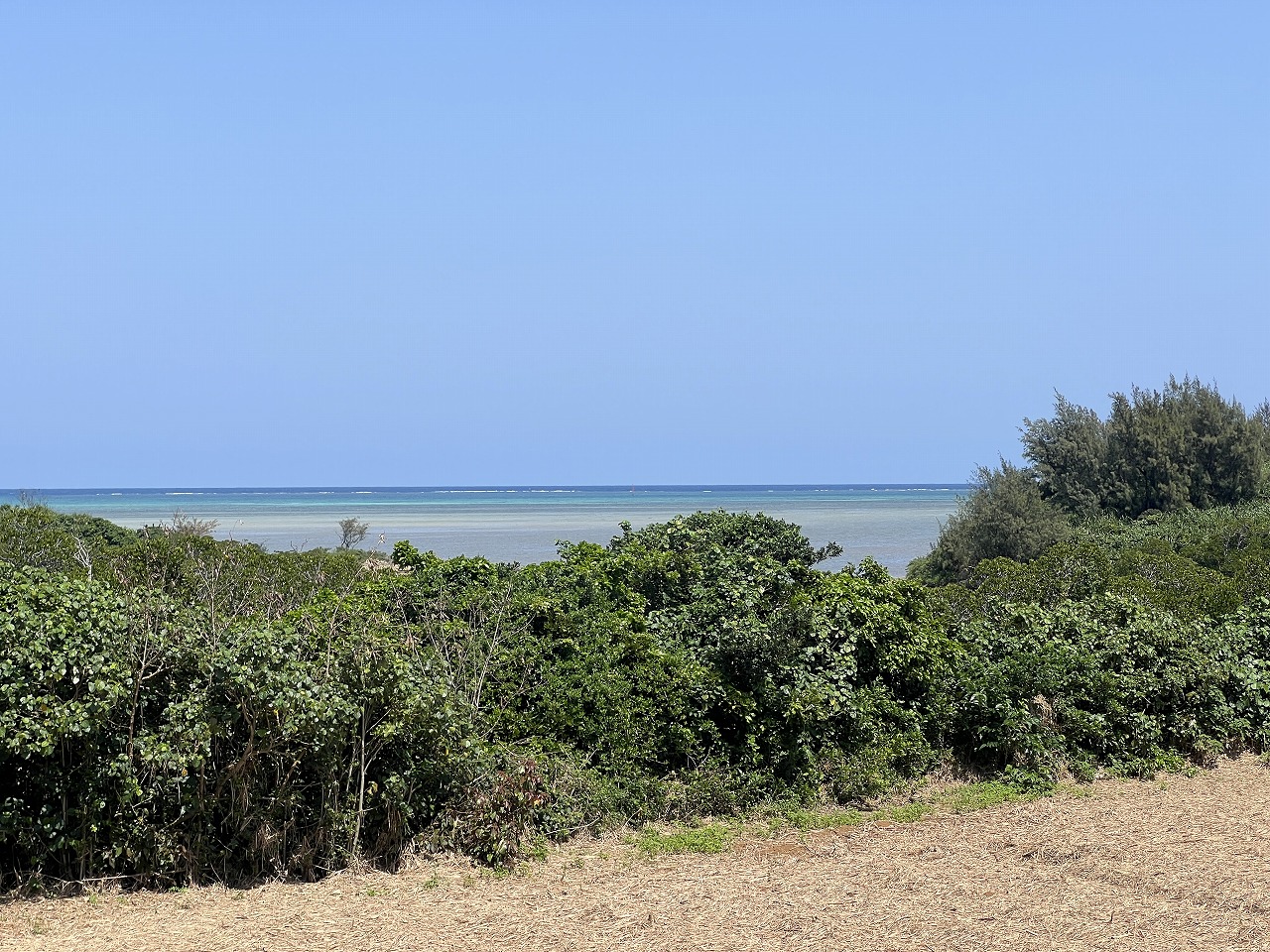 平良狩俣 海を望む角地 約405坪 原野