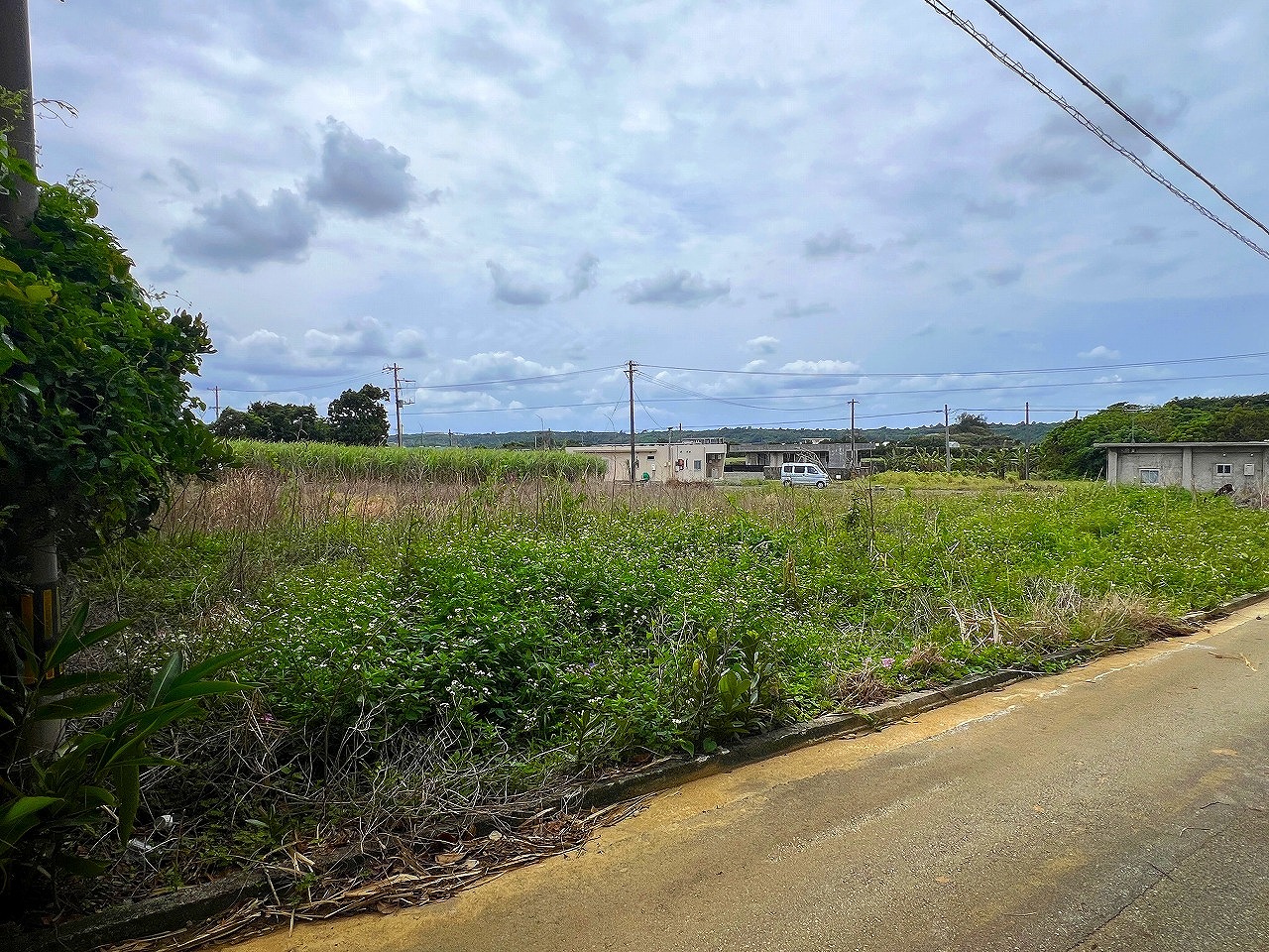 城辺長間でスローライフ 約344坪 畑