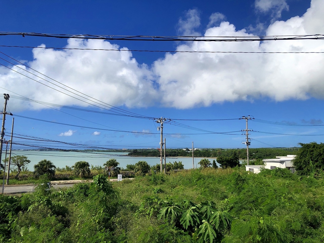 下地 与那覇湾に面した角地　284坪　原野