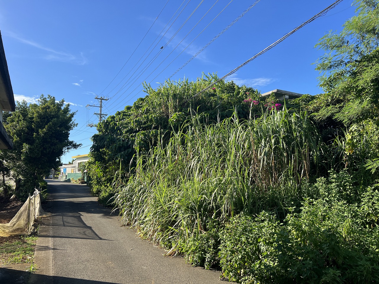 西仲宗根市民球場近く 約140坪 古家あり