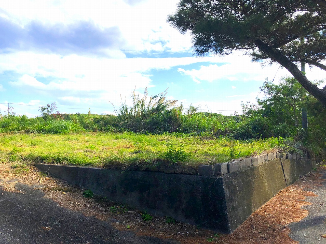 大浦でスローライフを夢見て　147坪　農用地・原野