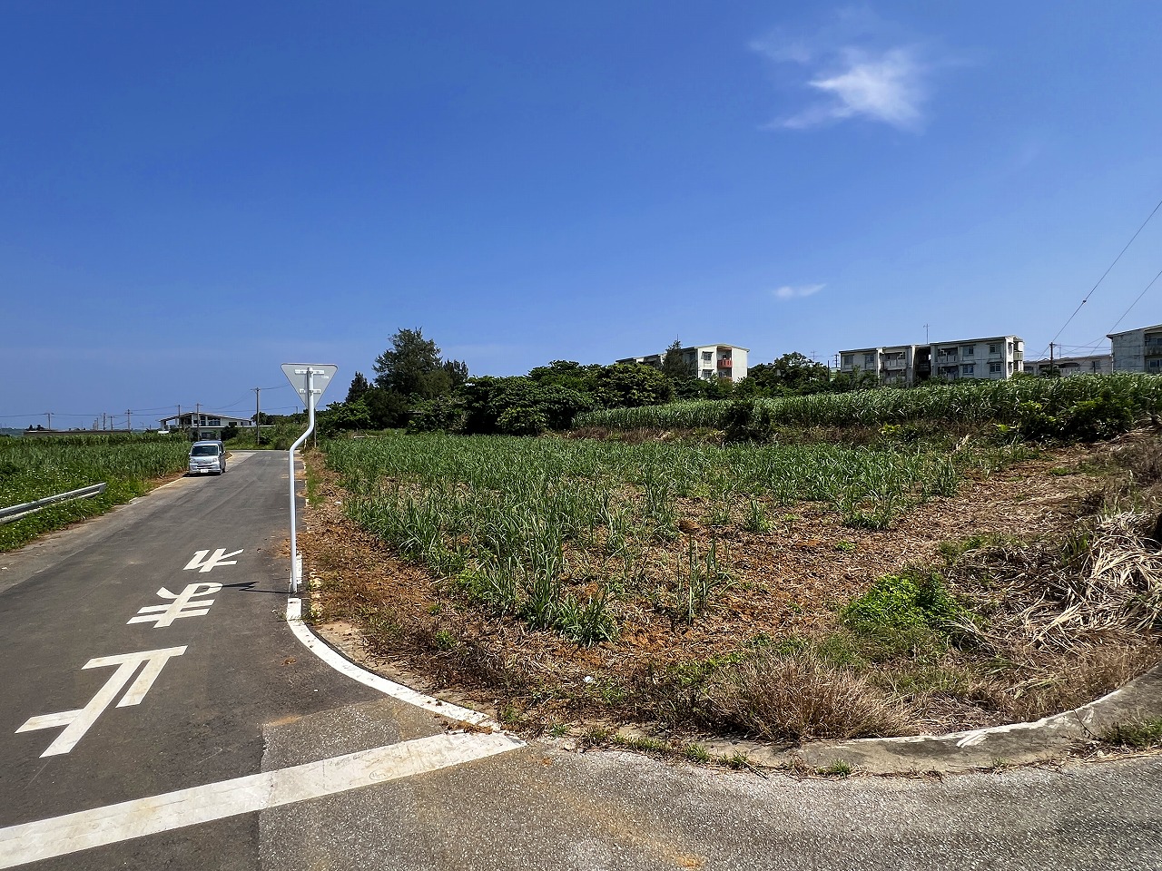 城辺福里 約1,611坪 原野・畑 古屋あり