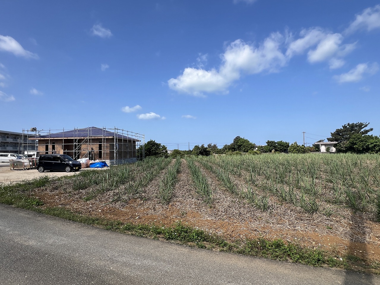 平良下里腰原の住宅用地 1,000坪 畑