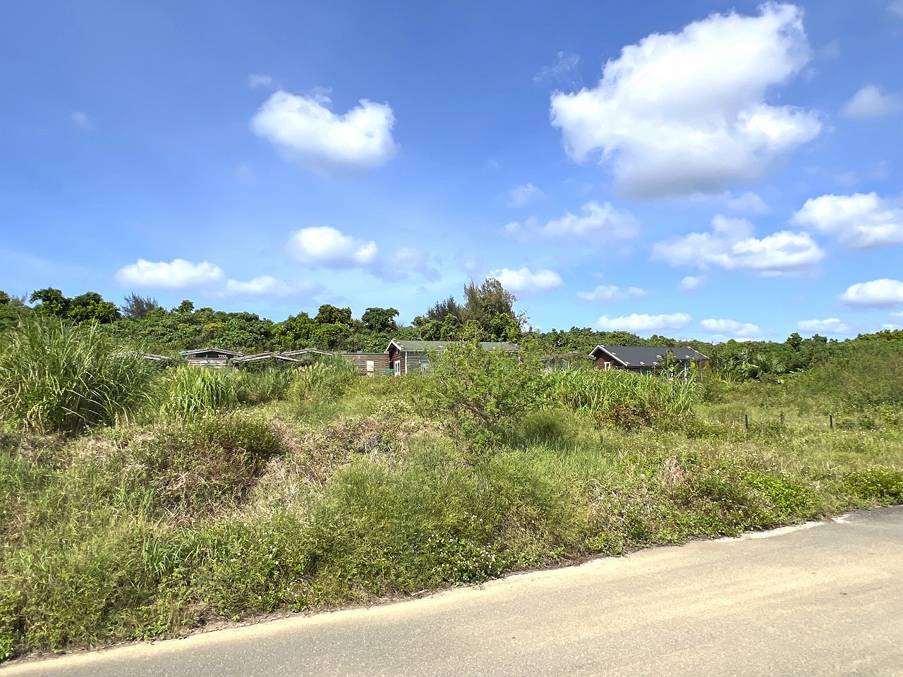 城辺長間 約1,000坪の土地と雄大な景色 木造 コテージ