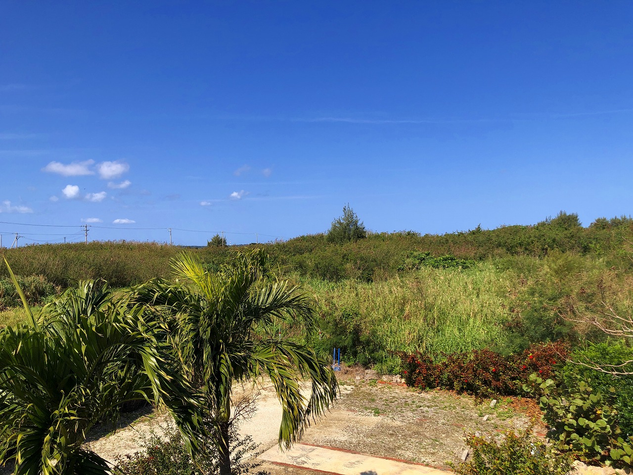 長北海岸 絶景のオーシャンビュー　約731坪　畑・原野