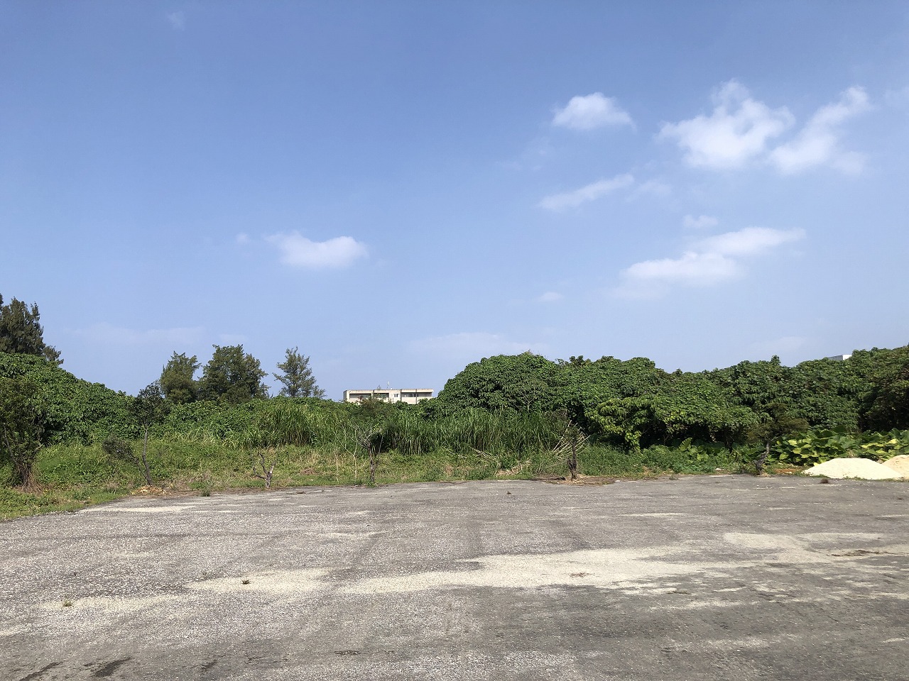 平良下里の袋地　約685坪　原野